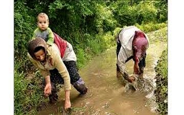 کار سخت و مزد کم، زنان کشاورز گیلان را رنج می‌دهد