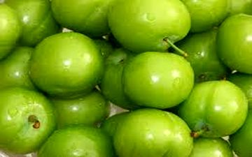 گوجه سبز، کیلویی ۱۰۰ هزار تومان!