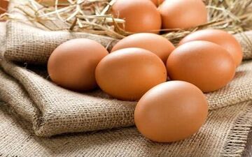 عبور قیمت تخم مرغ از ۵۰ هزار تومان! 
