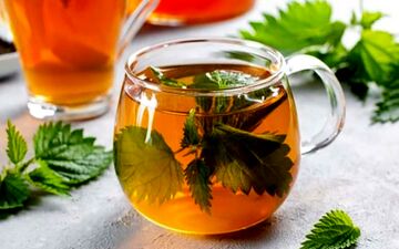 دمنوشی فوق العاده برای دفع سنگ کلیه/ حتما استفاده کن!