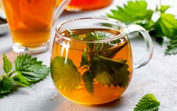ناراحتی سنگ کلیه اگر داری با خوردن این دمنوش نتیجه اش رو ببین!