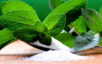  گیاهی مفید برای دیابتی‌ها