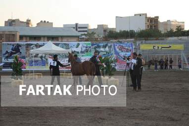  چهارمین جشنواره ملی زیبایی‌های اسب (تاق‌بستان)  جشنواره اسب اصیل کُرد