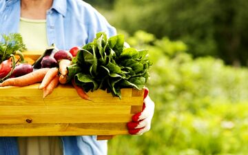  چه محصولاتی ارگانیک هستند؟