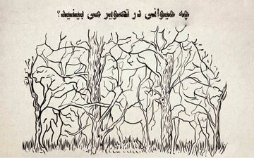 چه حیوانی را اول می‌بینی؟ بگوتا زوایای شخصیتی خودت را بهت بگم!