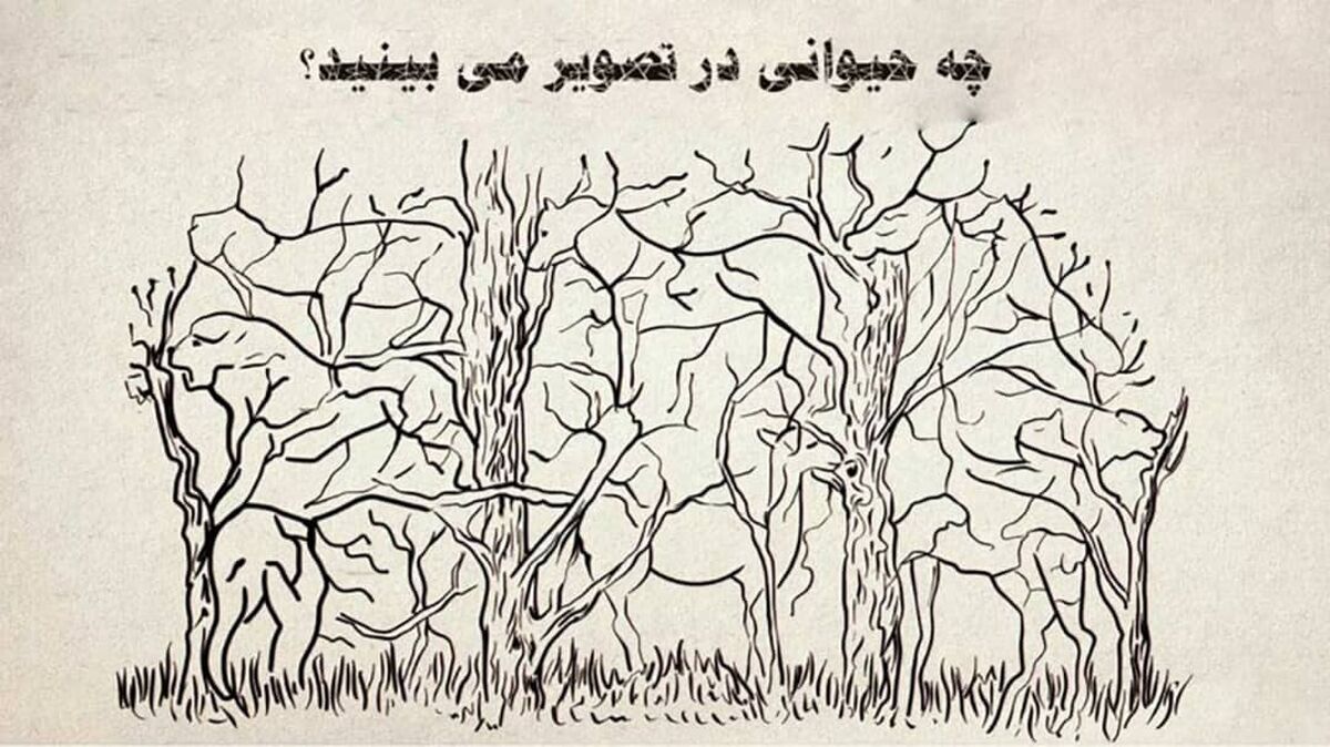 بگو در تصویر چه حیوانی را اول می‌بینی تا زوایای شخصیتی خودت را بهت بگم!