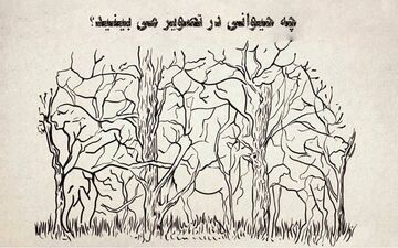 چه حیوانی را اول می‌بینی؟ بگوتا زوایای شخصیتی خودت را بهت بگم!