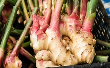 8 دلیل برای اینکه زنجبیل را همیشه مصرف کنیم