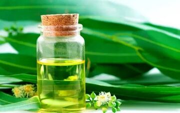 با این روغن‌های گیاهی دشمن آلرژی بهاری است
