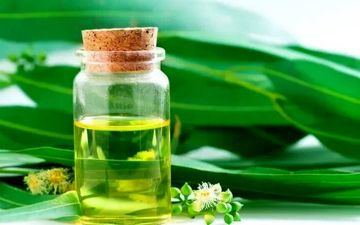 با این روغن‌های گیاهی دشمن آلرژی بهاری است
