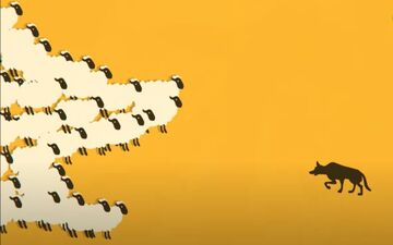 اول بگو ببینم پذیرای تغییر هستی یا نه؟ گوسفند رو اول دیدی یا روباه؟ تست تیپ شخصیتی