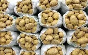 عرضه ۲۰ هزار تن سیب‌زمینی همدان برای متعادل‌سازی بازار
