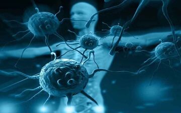 چگونه سیستم ایمنی بدن را به‌طور طبیعی تقویت کنیم؟