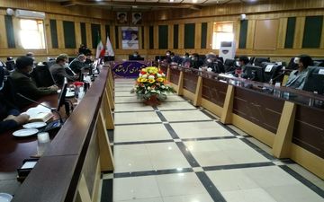 موجودی مرغ استان، در حد مطلوبی است