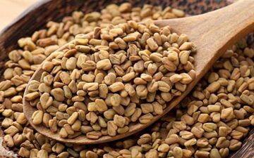 دیابتی ها شنبلیله بخورند!