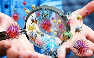 ۵۳ بستری جدید کرونایی در ایلام ثبت شد