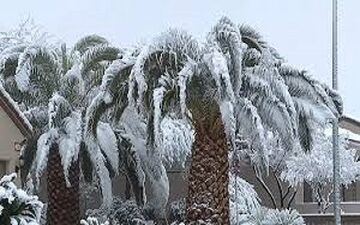 بارش غافلگیرانه برف در شهر گناه + فیلم 