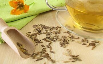 گیاه رازیانه؛ معجزه طبیعت