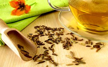 گیاه رازیانه؛ معجزه طبیعت