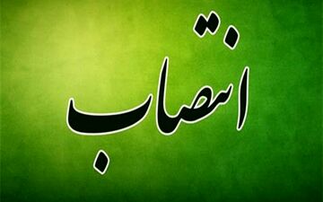 سمانه شاددل، معاون توسعه، مدیریت و منابع استانداری زنجان شد