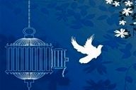 دومین محکوم به قصاص در کردستان رهایی یافت 