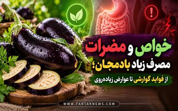 خواص و مضرات مصرف زیاد بادمجان؛ از فواید گوارشی تا عوارض زیاده‌روی