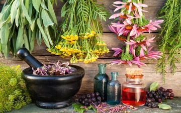 بررسی تاثیر گیاه برنجاسپ در درمان کرونا