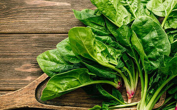 اسفناج در طب سنتی چه جایگاهی دارد؟