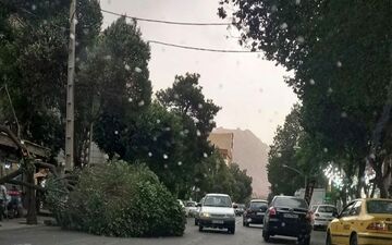 هشدار نارنجی هواشناسی: وزش باد خیلی شدید در تهران؛ چادر نزنید!