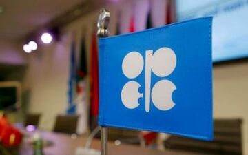 بیم تولیدکنندگان اوپک از توقف رشد قیمت نفت 