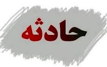 قتل با گلدان در مسعودیه تهران / قاتل 86 ساله است + جزییات