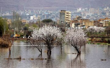 بارش شدید باران در 8 استان کشور/ احتمال وقوع سیل در برخی از شهرها