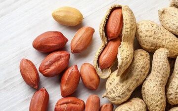 خوردن بادام زمینی در دوران بارداری خطرناک است یا نه؟