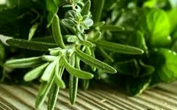 دانش‌آموزان برای تقویت حافظه‌شان رزماری مصرف کنند