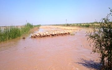 خسارت سیل به 200 خانه مسکونی در رودبار جنوب