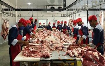 قیمت گوشت قرمز در بازار امروز / گردن گوسفندی کیلویی چند؟ 