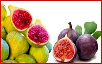 آشنایی با خواص شگفت انگیز انجیر