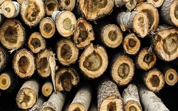 کشف 3 تن چوب‌آلات جنگلی قاچاق در ساری