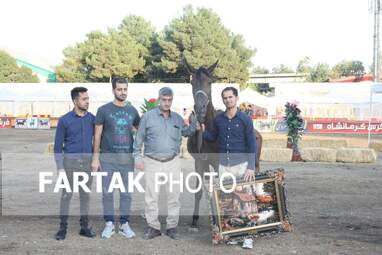  چهارمین جشنواره ملی زیبایی‌های اسب (تاق‌بستان)  جشنواره اسب اصیل کُرد