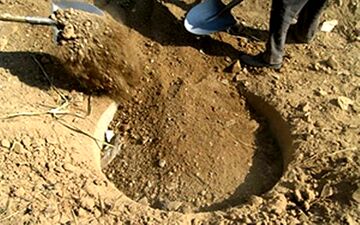 شهرهایی با وضعیت قرمز!