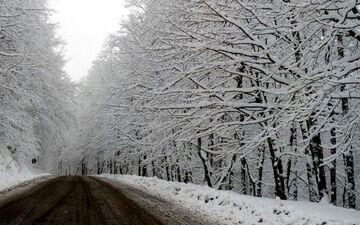 جاده‌های غربی برف‌گیر تر از شرق گیلان/تردد در محورهای کوهستانی بدون زنجیر چرخ ممنوع است