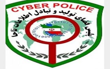 پسر مشهدی به حساب مرد کانادایی دستبرد زد