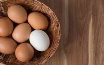 تخم‌مرغ‌های قهوه‌ای بهتر است یا سفید؟