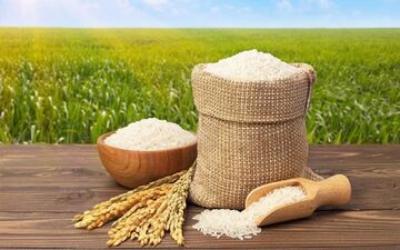 قیمت روز برنج ایرانی درجه یک شمال + جدول ۱۰ شهریور ۱۴۰۴