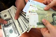 تفکیک سهمیه دلار و ارز مسافرتی؛ اعلام جزئیات جدید بانک مرکزی