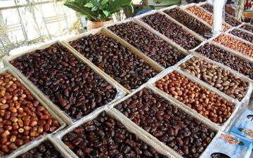 تکرار یک اشتباه / وضع دوباره عوارض برای صادرات خرما ‌
