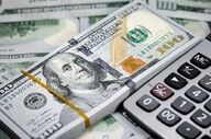 قیمت جدید دلار، یورو و درهم امروز یکشنبه ۳۰ فروردین ۱۴۰۵/ افزایش قیمت دلار