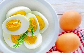 تخم مرغ منبع غنی از مواد مغذی است
