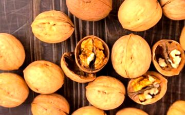 این آجیل باعث افزایش عمر می شود