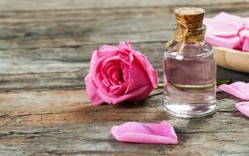 تقویت و پاکسازی پوست و رفع مشکلات گوارشی با این گیاه 